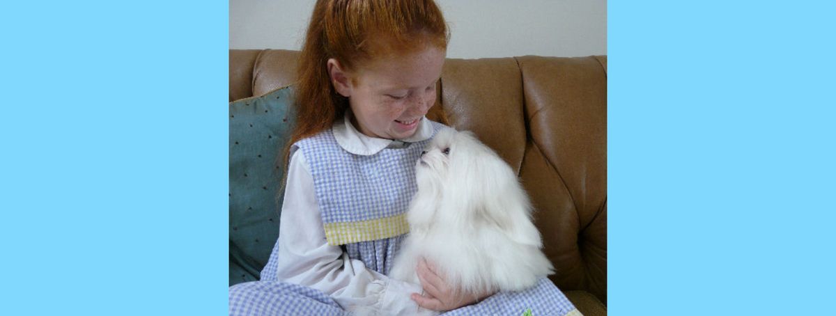 Southern Silks family, puppies, and program history