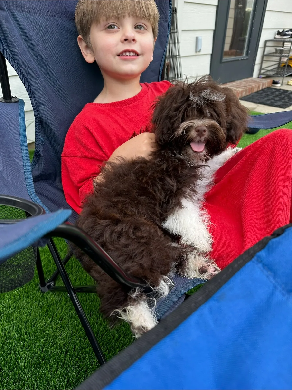 A child sitting outdoors with a chocolate Havanese puppy