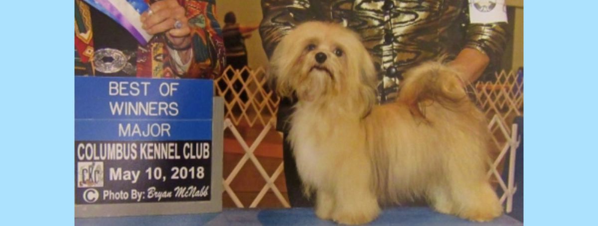 Southern Silks family, puppies, and program history