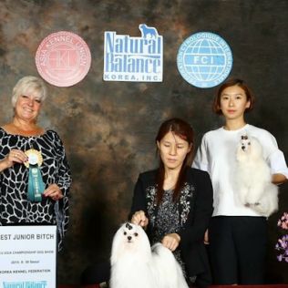 Affa, a Southern Silks champion