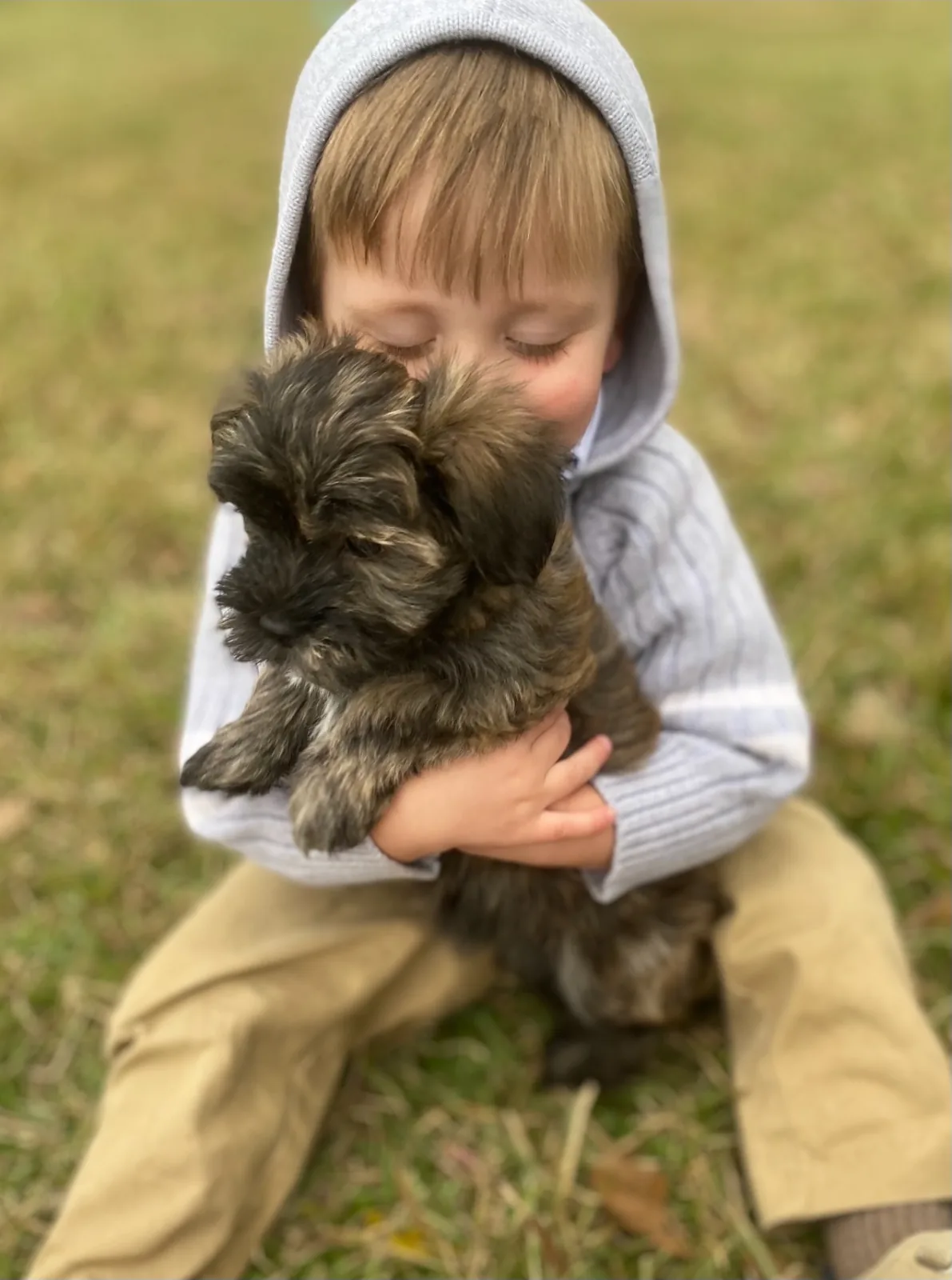 A child cuddling a brindle Havanese puppy outdoors