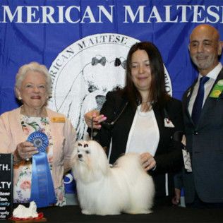 Southern Silks family, puppies, and program history