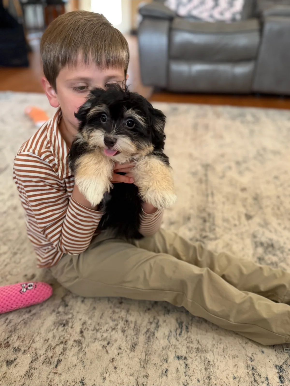 A child holding a black-and-white Havanese puppy
