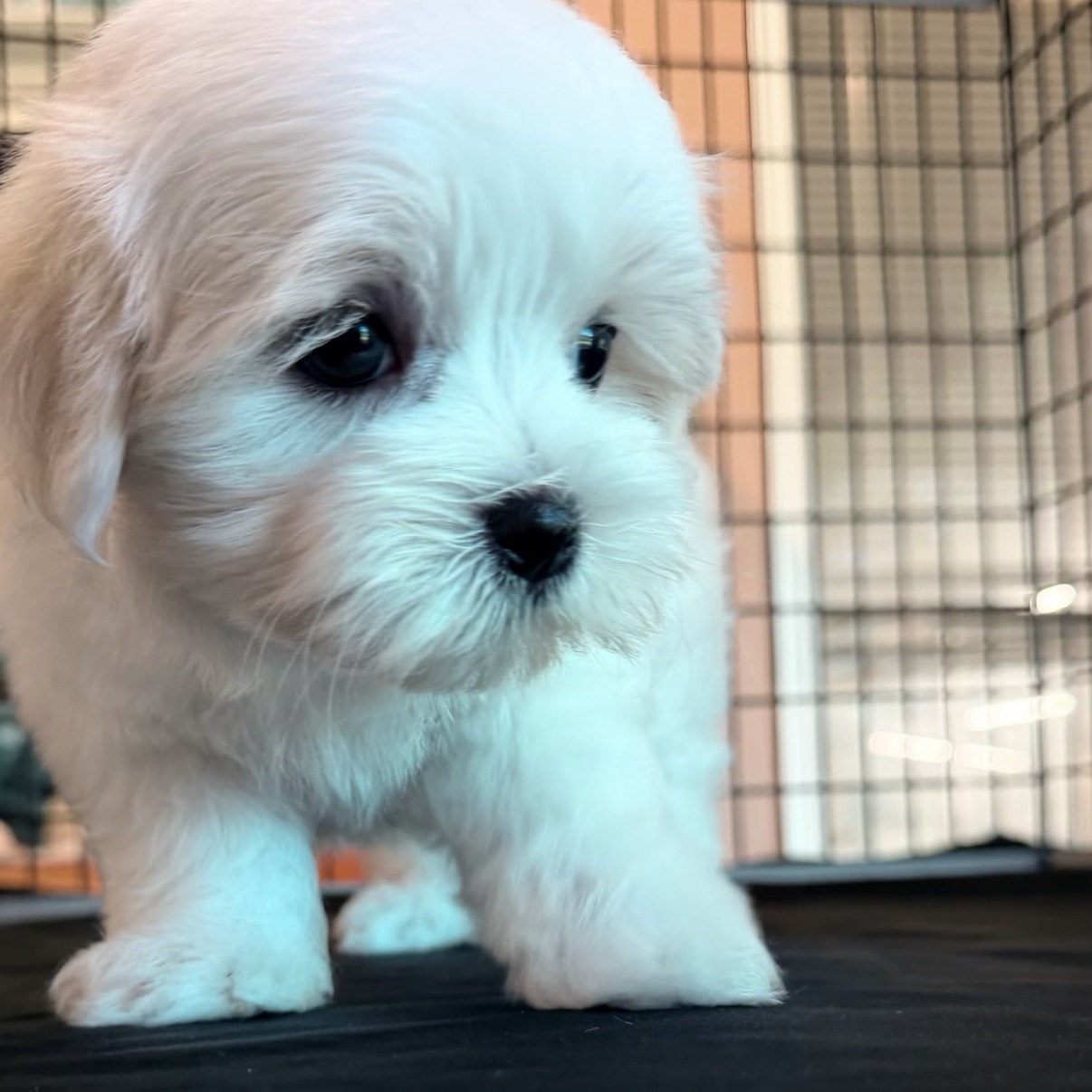 Close-up of Lonnie Jr.'s sweet face