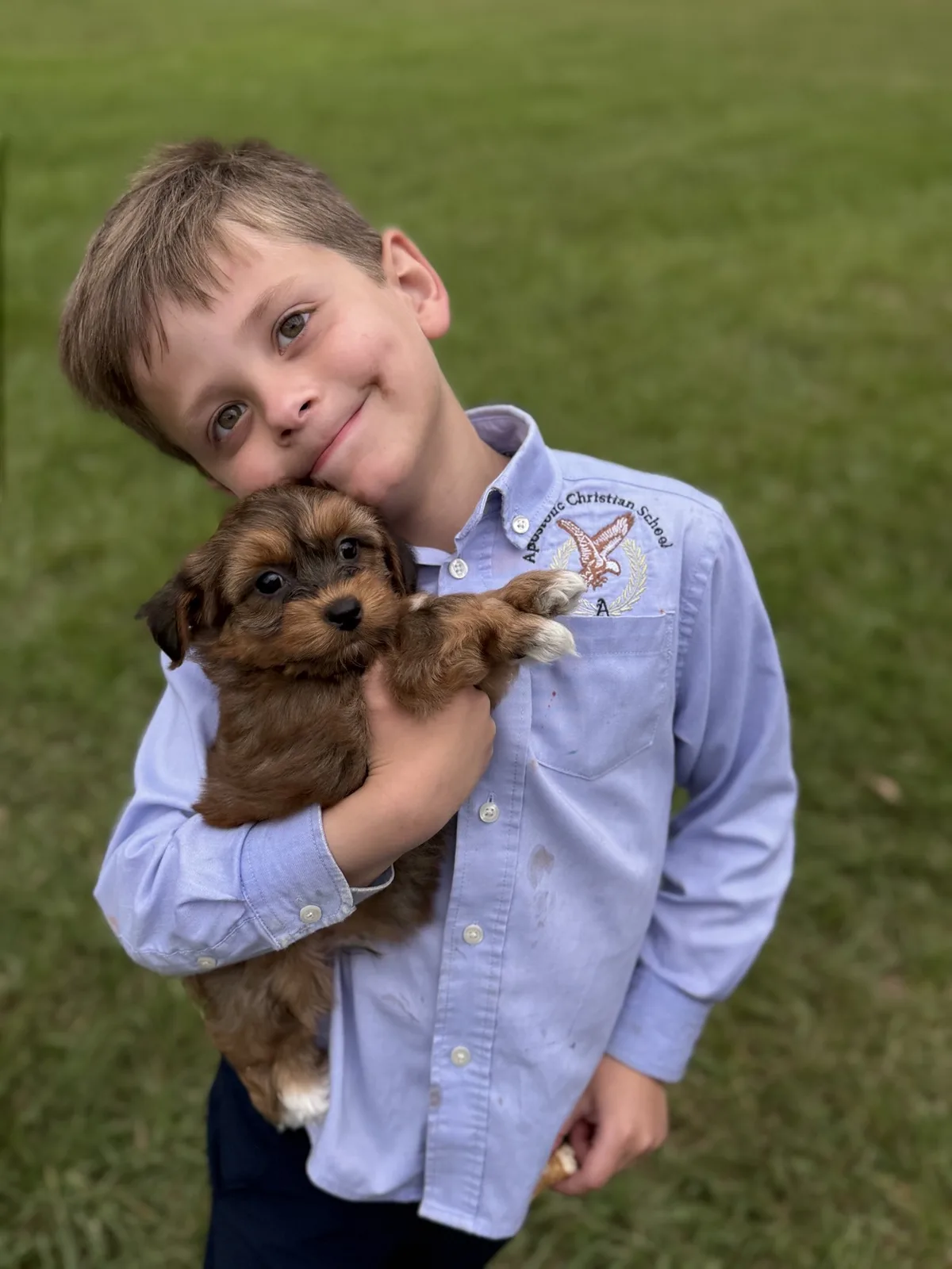 A smiling boy holding a small brown Havanese puppy on the lawn