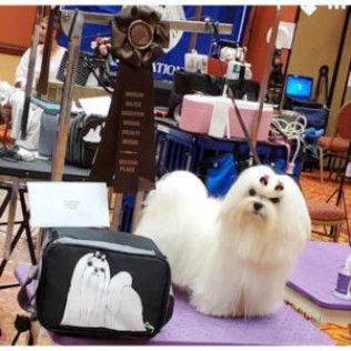 Southern Silks family, puppies, and program history