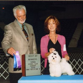 Jack, a Southern Silks champion