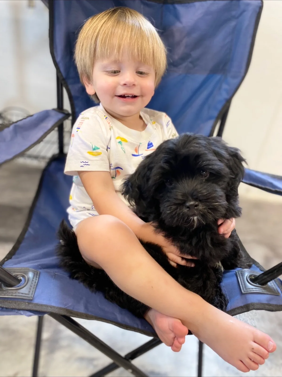 A toddler cuddling a small black Havanese puppy