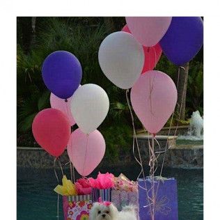 Tressie’s birthday from the Southern Silks gallery