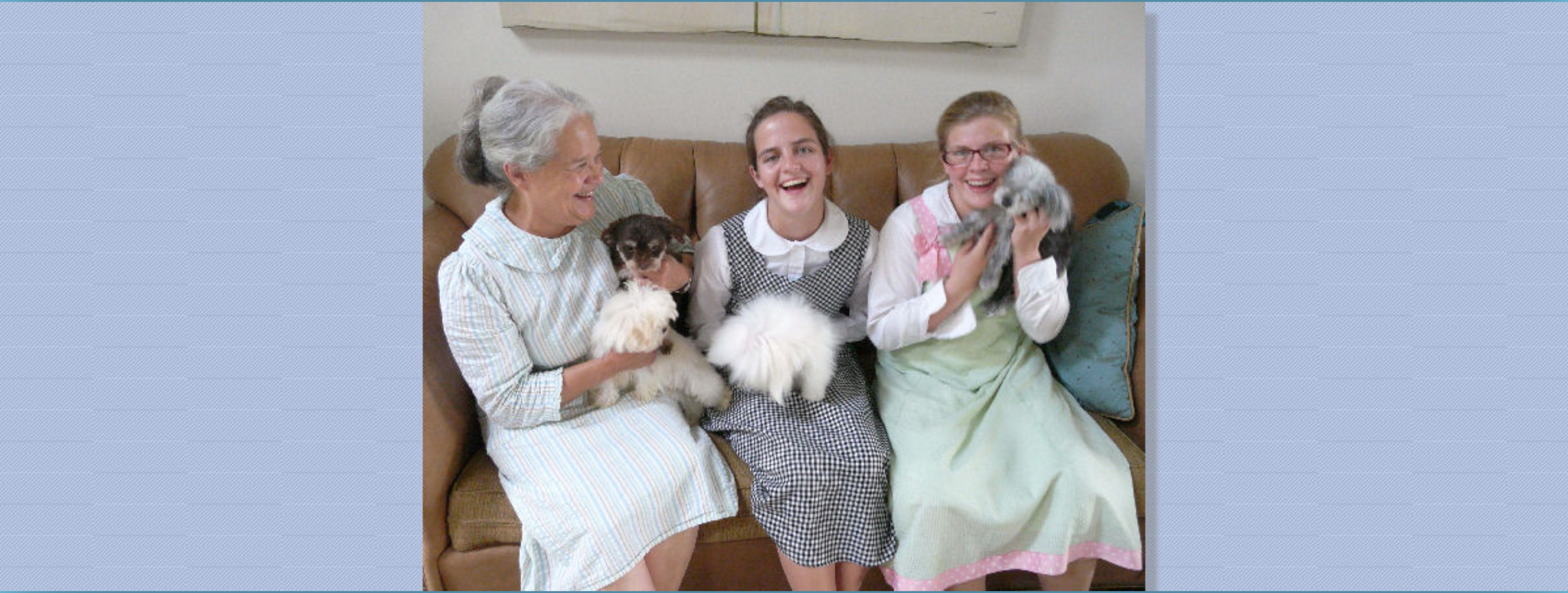 Southern Silks puppies together in a family setting