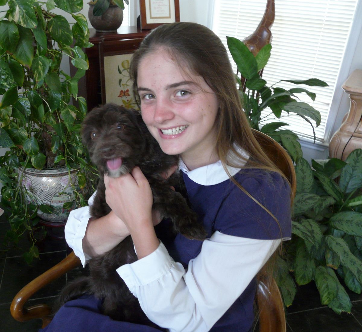 Southern Silks family, puppies, and program history