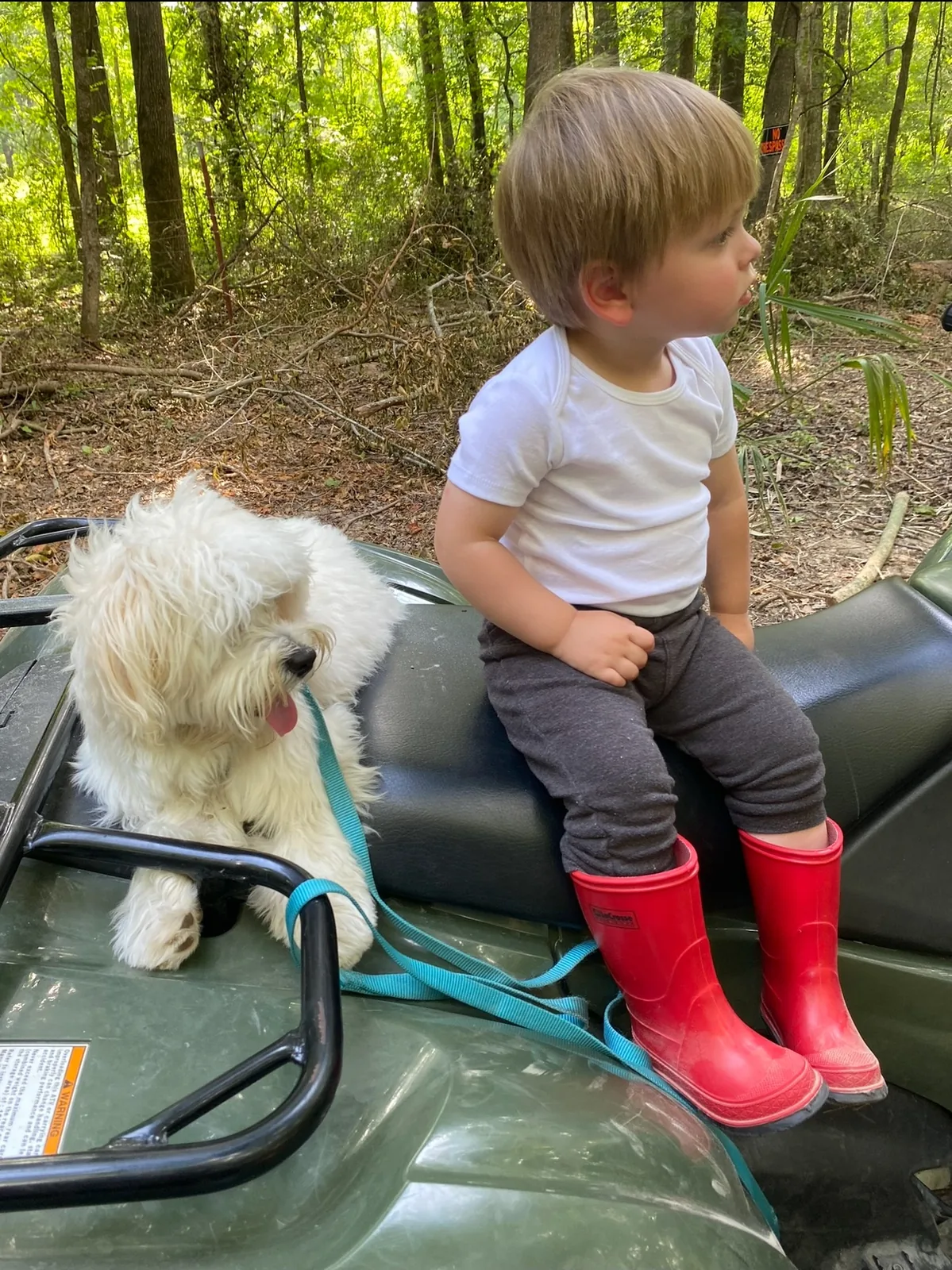 A child riding with a cream Havanese companion