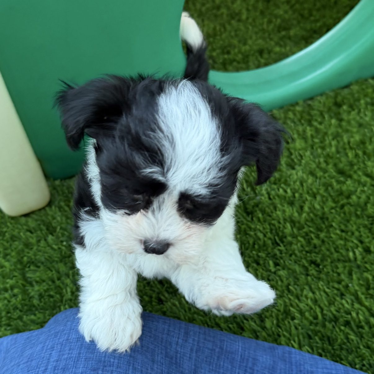 Benny sitting beside a green play structure