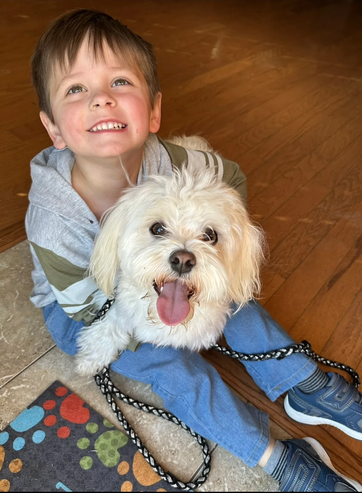 A smiling child posing with a happy cream Havanese