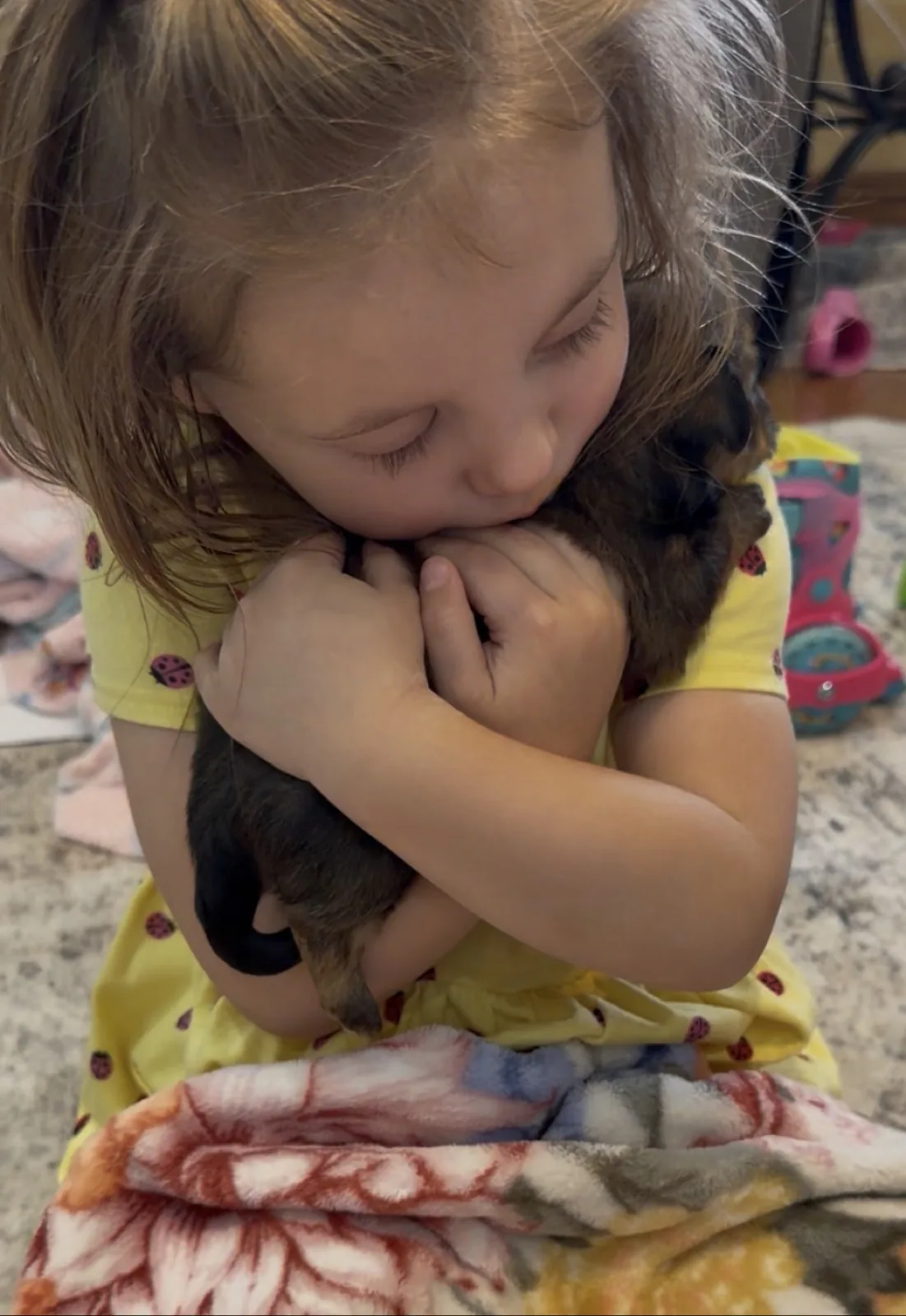 A child hugging a small black Havanese puppy